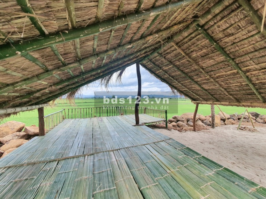 Bán đất view cánh đồng sông Krông Na, giá tốt đầu tư, thuận tiện làm nghỉ dưỡng