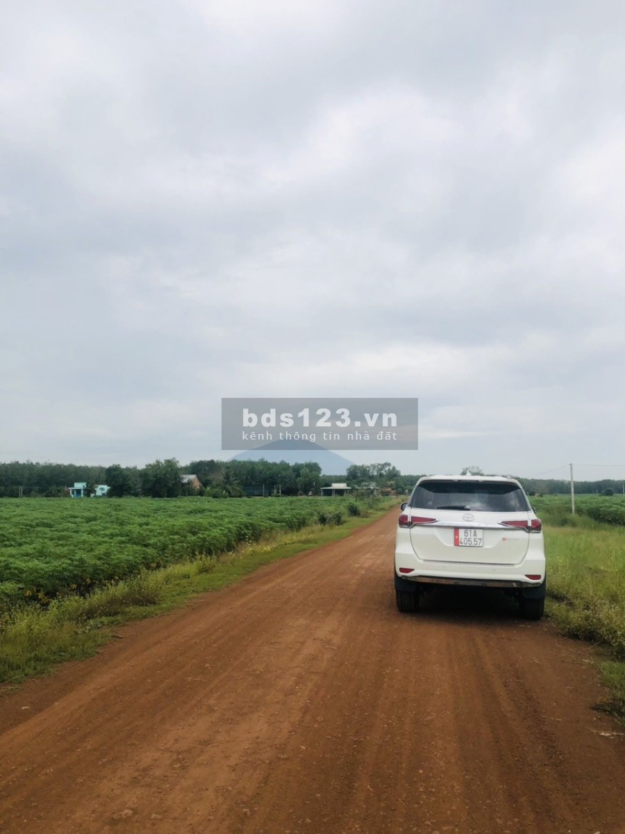 Đất thổ cư dành cho các nhà đầu tư sinh lời cao liên hệ 0795956692, pháp lý chính chủ