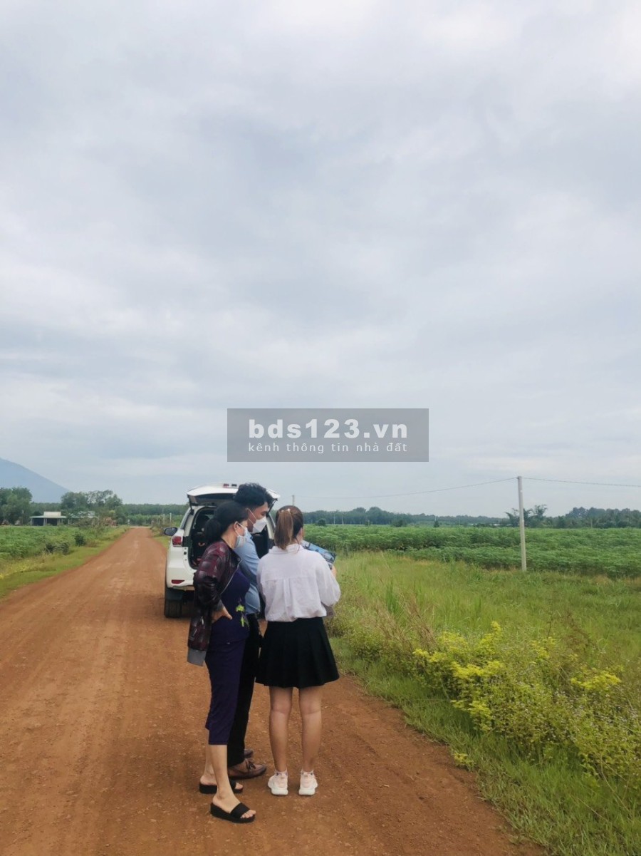 Đất thổ cư dành cho các nhà đầu tư sinh lời cao liên hệ 0795956692, pháp lý chính chủ