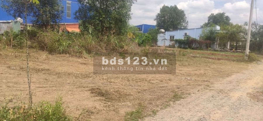Đất sổ riêng có thổ cư gần trường, chợ Tân Phước Khánh, Tân Uyên