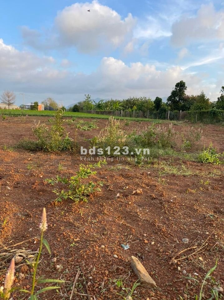 Chính chủ bán 2 lô đất diện tích 1000m2 giá 1,5 tỷ sổ hồng riêng thổ cư