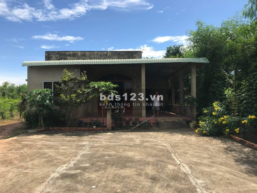 Cho thuê nhà, đất trồng cây lâu năm có thể làm kho, xưởng liên hệ 0909609661