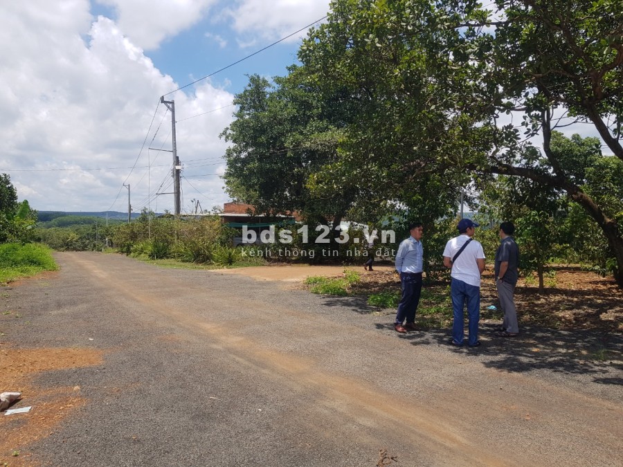 Chỉ còn 5 lô duy nhất hàng hiếm tại Bình Phước diện tích 1000m2, giá 800 triệu, đường nhựa