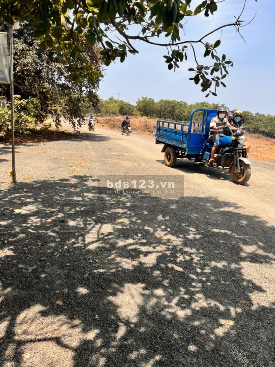 Chỉ còn 5 lô duy nhất hàng hiếm tại Bình Phước diện tích 1000m2, giá 800 triệu, đường nhựa