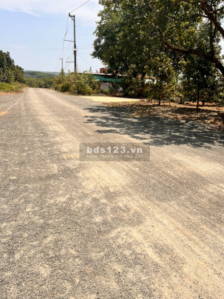 Chỉ còn 5 lô duy nhất hàng hiếm tại Bình Phước diện tích 1000m2, giá 800 triệu, đường nhựa