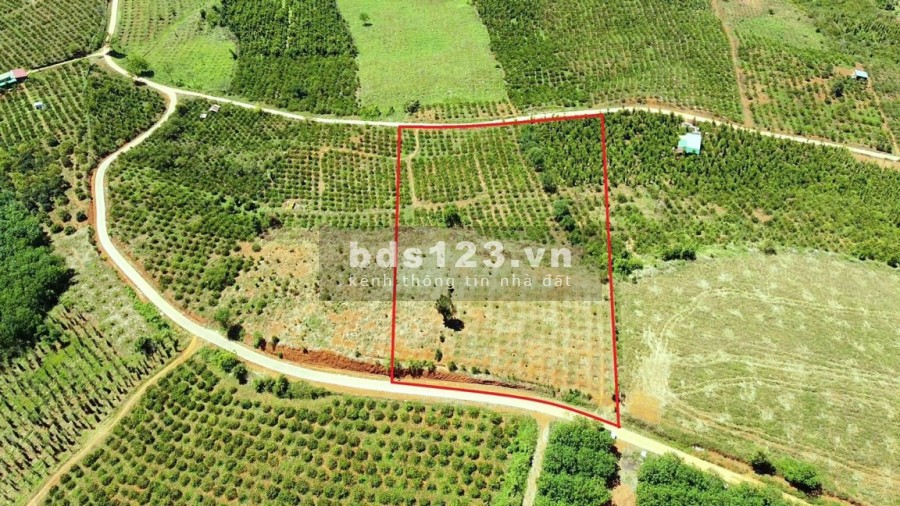 Bán nhanh siêu phẩm 1,8ha view hồ Đắk R'Tih, Đắk Nông. Giá đầu tư sinh lời cao