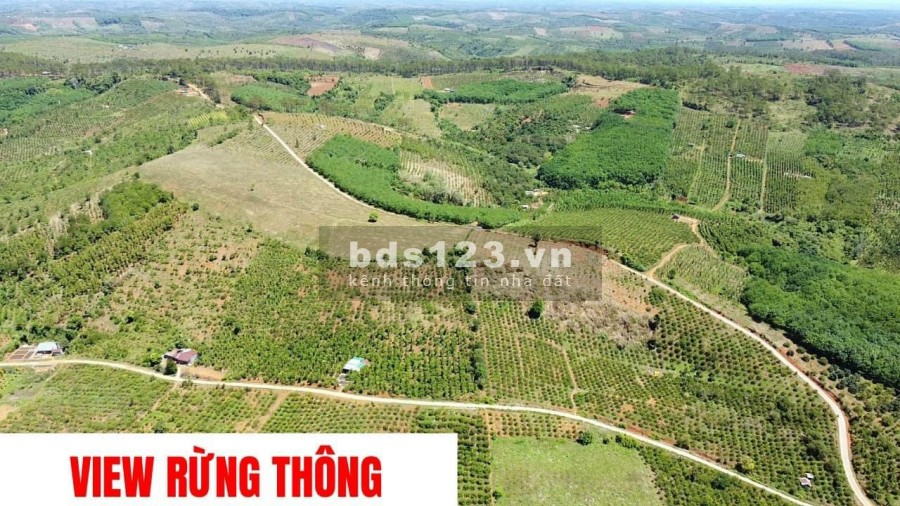 Bán nhanh siêu phẩm 1,8ha view hồ Đắk R'Tih, Đắk Nông. Giá đầu tư sinh lời cao