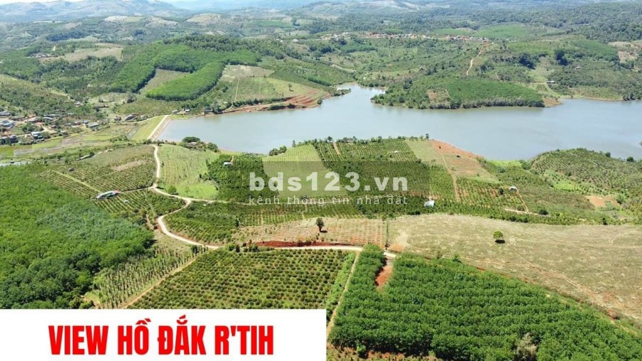 Bán nhanh siêu phẩm 1,8ha view hồ Đắk R'Tih, Đắk Nông. Giá đầu tư sinh lời cao