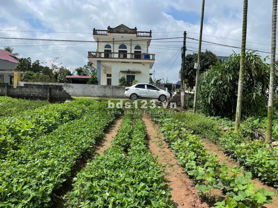 Mặt tiền 10m, diện tích 134m2 và thêm dôi dư giá 790tr/m liên hệ 0799863888