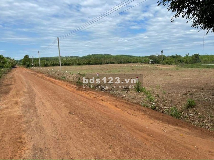 Chủ cần tiền giảm giá mạnh, chỉ còn 280 triệu/ lô đất ngay chợ Thanh An - Hớn Quản