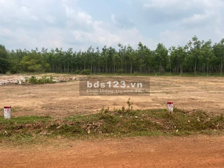 Chủ cần tiền giảm giá mạnh, chỉ còn 280 triệu/ lô đất ngay chợ Thanh An - Hớn Quản