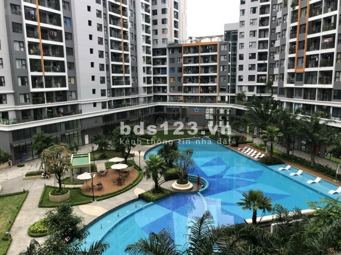 SỐC!!! CHO THUÊ CH SAFIRA KĐ 1PN 6TR-7.5TR, 2PN 7TR-9TR, 3PN 8.5TR-11TR. LH: MS THY O367725142.