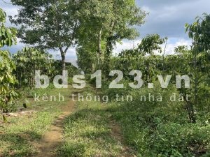 Đất 2 mặt tiền Phường Lộc Tiến, Diện tích 10m x60m giá đầu tư sinh lời, liên hệ 0914594882