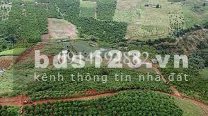 Đất 2 mặt tiền Phường Lộc Tiến, Diện tích 10m x60m giá đầu tư sinh lời, liên hệ 0914594882