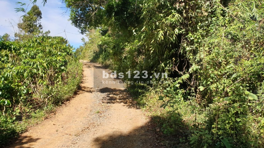 Bán đất thôn 9 Tân Lạc Bảo Lâm Lâm Đồng khu dân cư đông giá tốt đầu tư sinh lời