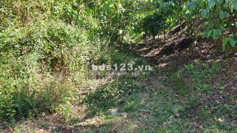 Bán đất thôn 9 Tân Lạc Bảo Lâm Lâm Đồng khu dân cư đông giá tốt đầu tư sinh lời