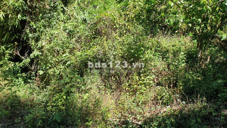 Bán đất thôn 9 Tân Lạc Bảo Lâm Lâm Đồng khu dân cư đông giá tốt đầu tư sinh lời