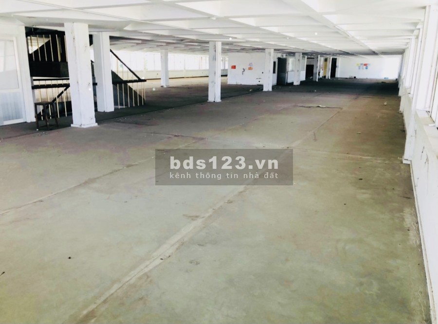 Cho thuê kho, xưởng, văn phòng mặt tiền 5.500m2 Xa Lộ Hà Nội, P. Trường Thọ, TP. Thủ Đức.