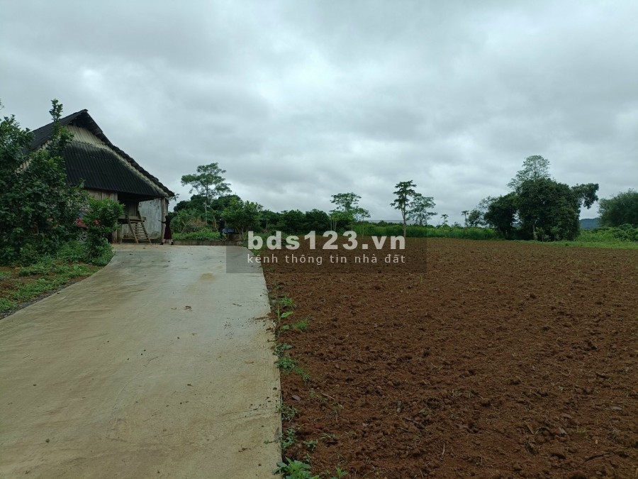 Bán 8720m2 đất nghỉ dưỡng Tân Lạc Hoà Bình 3 bề bám suối và đường, giấy tờ đầy đủ