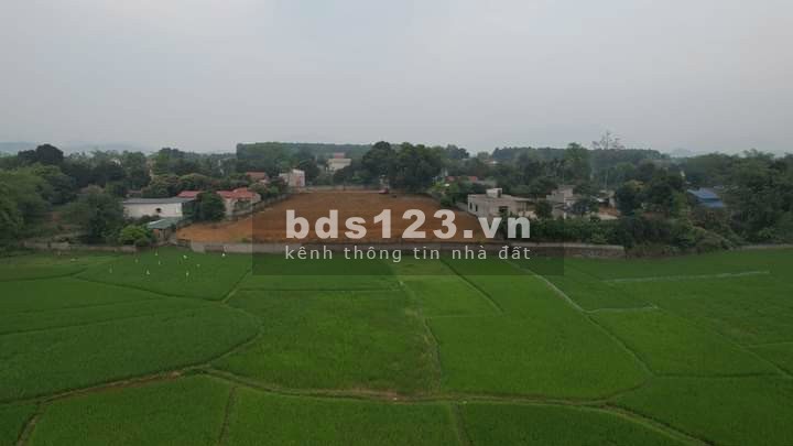 Bán đất khu công nghiệp Nhuận Trạch, giá đầu tư sinh lời, pháp lý chính chủ, sổ sẵn