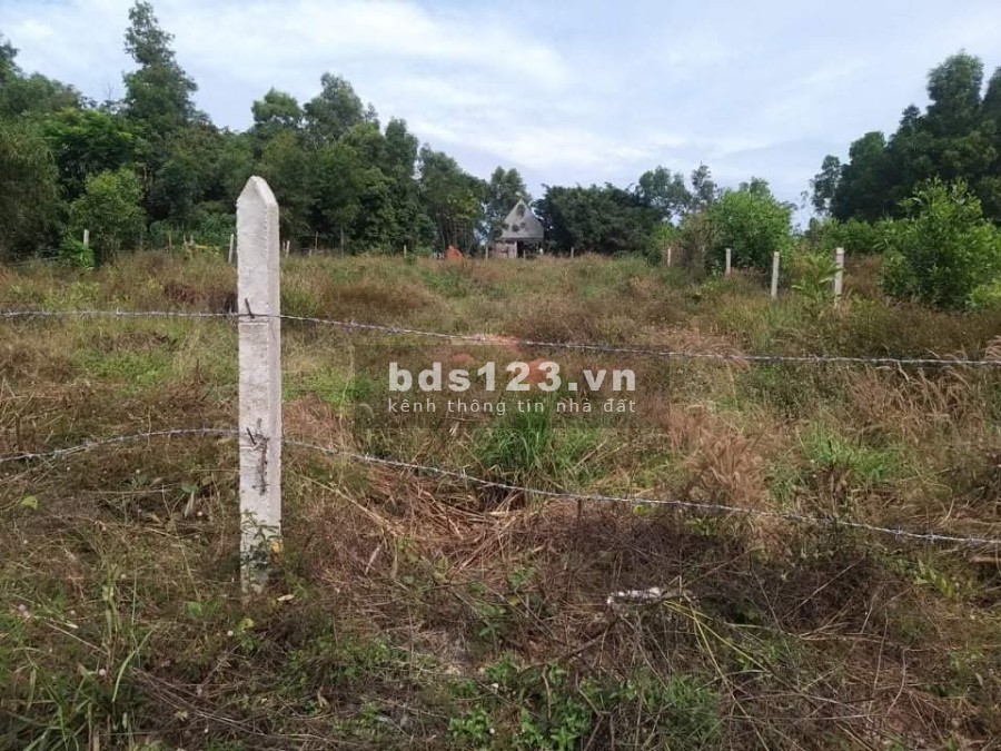 Cần bán 1 sào đất Phủ Hồng gần BECAMEX Sơn Mỹ Hàm Tân giá đầu tư, sổ bàn giao ngay