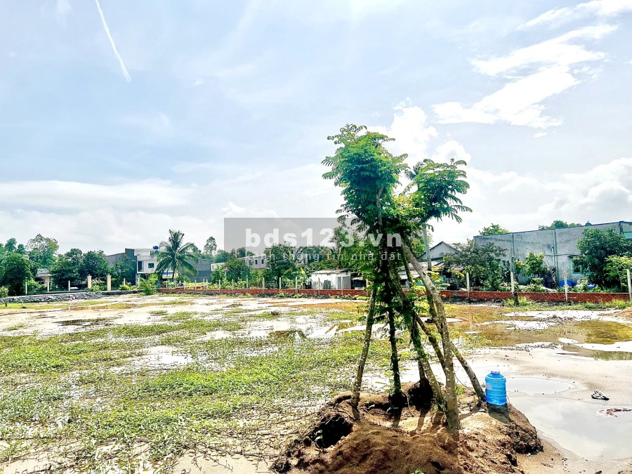 Cần bán đất Thổ Cư 100% ngay đường DT824. TP Đức Hòa. Sổ Hồng Riêng. Giá 12tr/m2. KDC hiện hữu