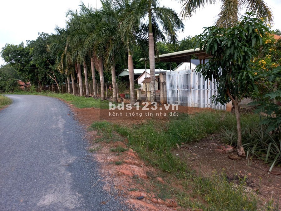 Cần bán diện tích 250m2 có thổ cư 100m sát Becamex 6300ha giá bán 400 triệu.