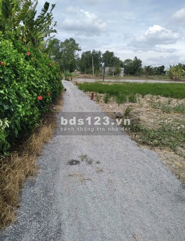 Chính chủ bán 216m thổ ONT giá bán 3 triệ/m2 Xã Long Sơn khu dân cư đông đúc