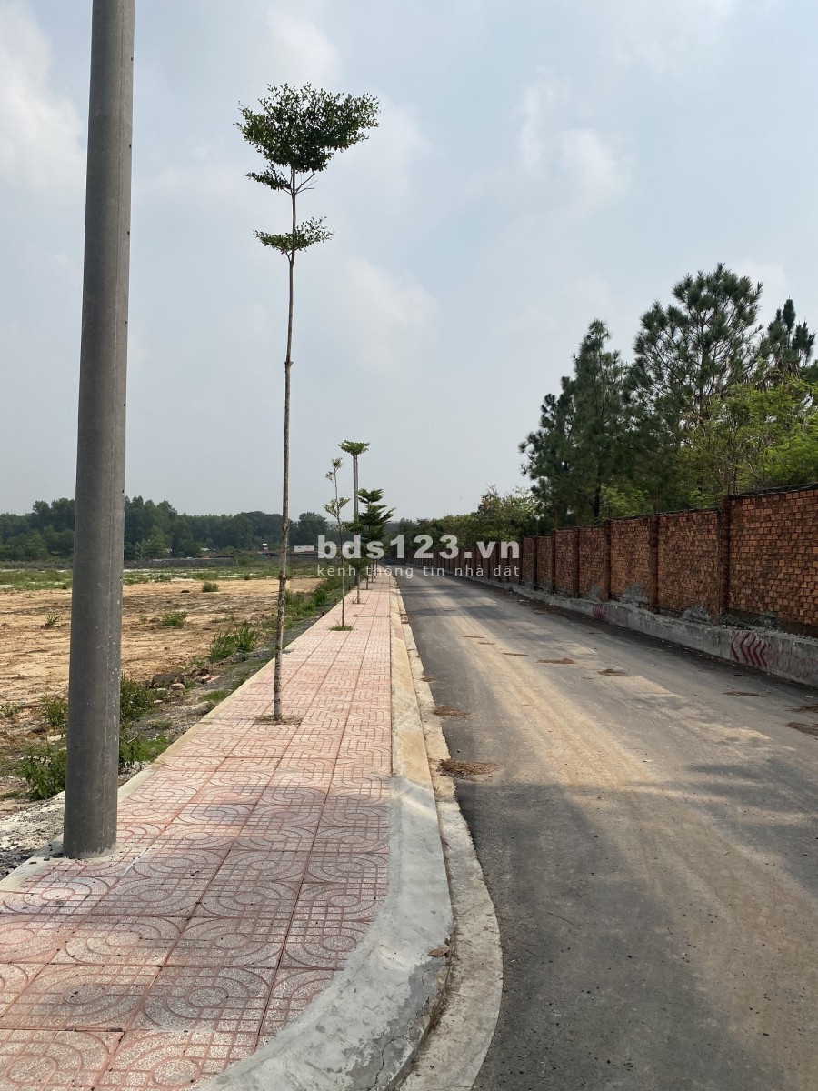 Mở bán đất KCN SONADEZI Giang Điền. Shr, thổ cư. Giá rẻ F0 đón đầu các dự án. Mặt đường 32m.