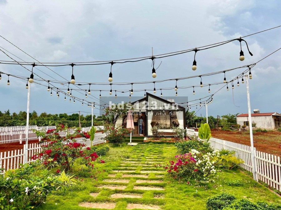 Đất nền nghĩ dưỡng Mang Yang sở hữu những ưu thể nổi trội đầy tiềm năng tăng giá
