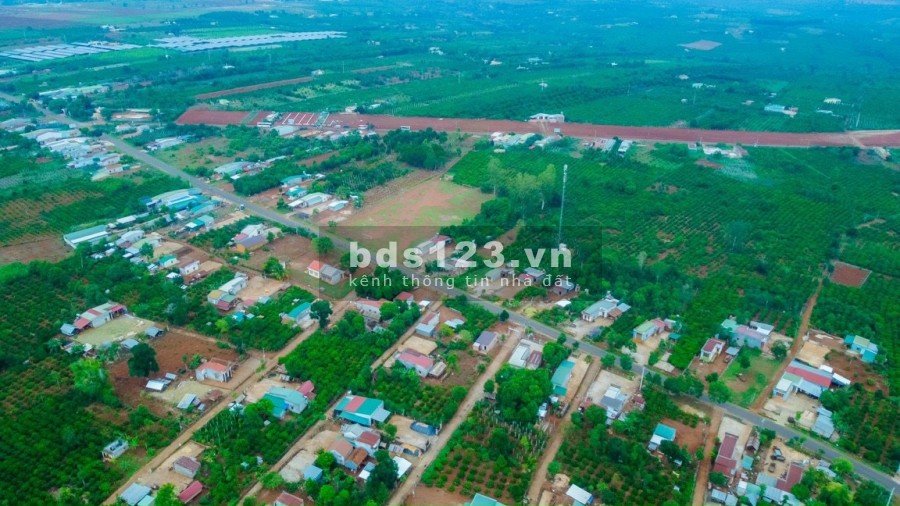 Đất nền nghĩ dưỡng Mang Yang sở hữu những ưu thể nổi trội đầy tiềm năng tăng giá