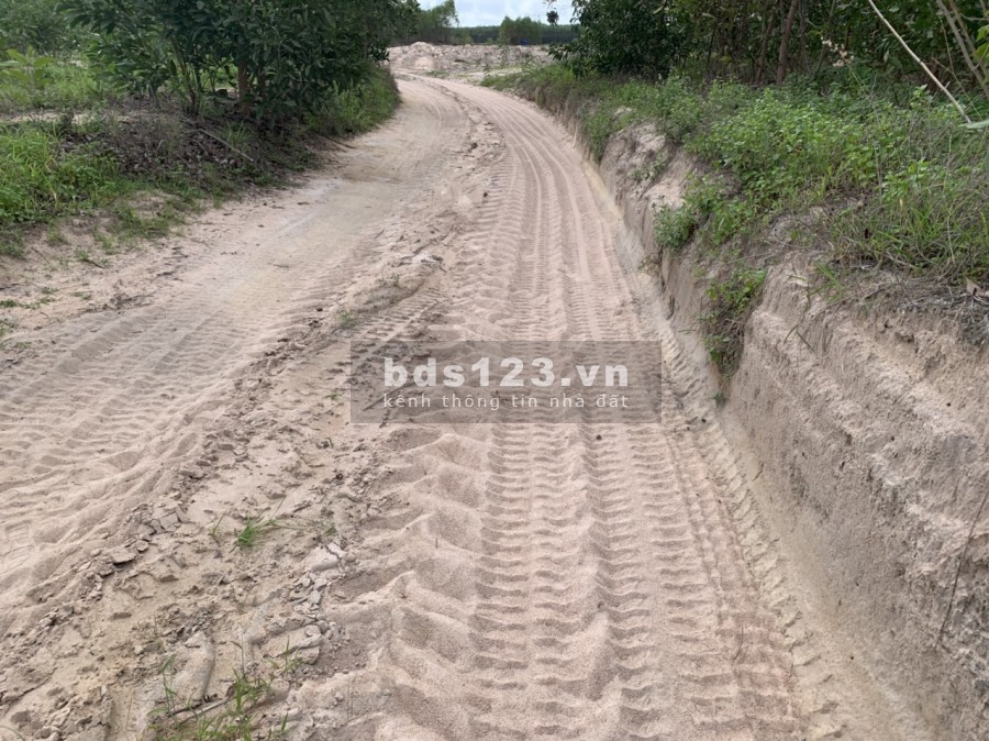 Bán 1,1ha có 231m mặt tiền đường Ô tô Thôn 1 gần đường Tân Minh -Sơn Mỹ giá vốn