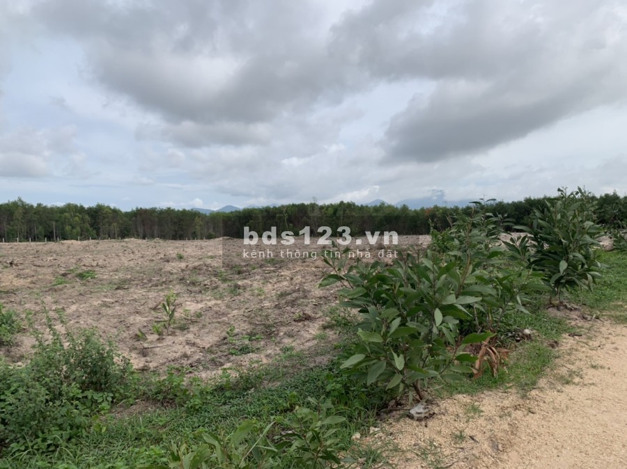 Bán 1,1ha có 231m mặt tiền đường Ô tô Thôn 1 gần đường Tân Minh -Sơn Mỹ giá vốn