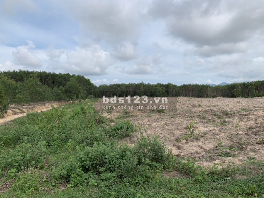 Bán 1,1ha có 231m mặt tiền đường Ô tô Thôn 1 gần đường Tân Minh -Sơn Mỹ giá vốn