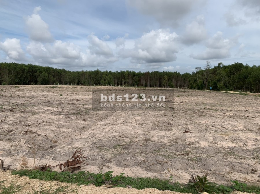 Bán 1,1ha có 231m mặt tiền đường Ô tô Thôn 1 gần đường Tân Minh -Sơn Mỹ giá vốn