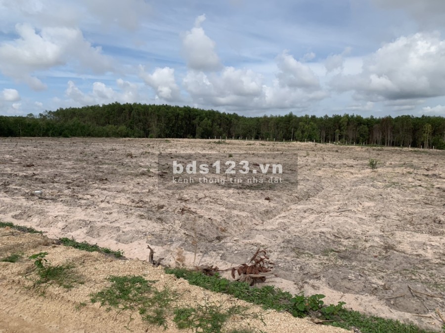 Bán 1,1ha có 231m mặt tiền đường Ô tô Thôn 1 gần đường Tân Minh -Sơn Mỹ giá vốn