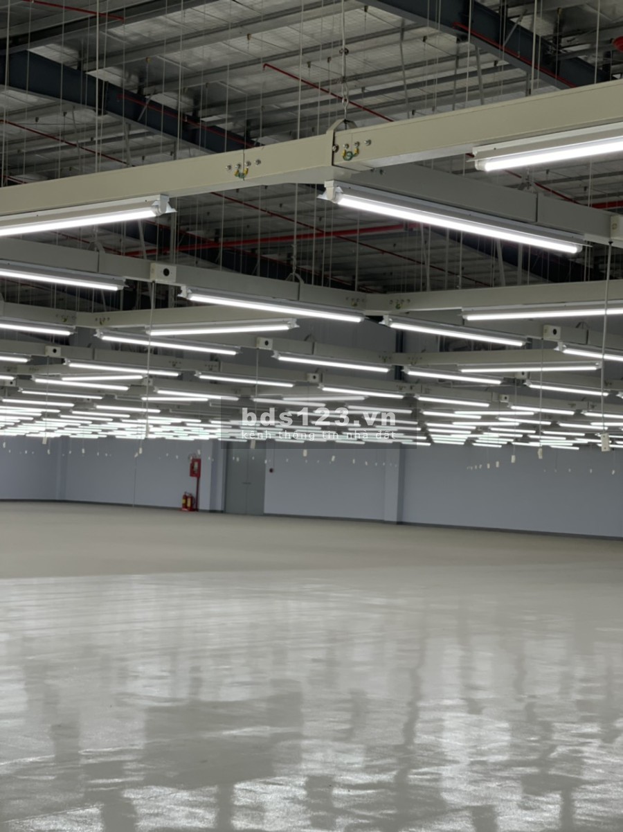 Cho thuê nhà xưởng mở công ty tại An Phú, Thuận An, Bình Dương, đầy đủ giấy tờ