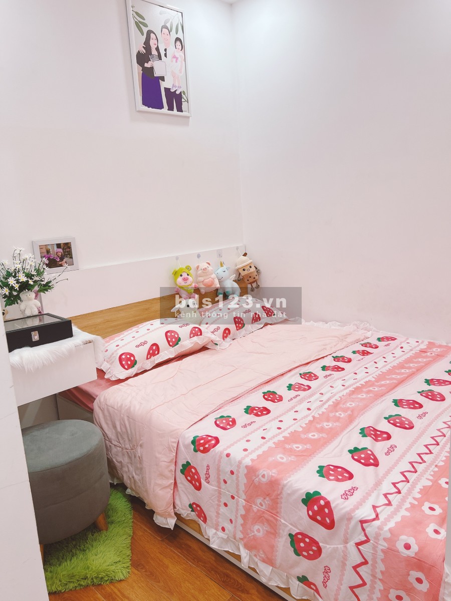 Bán căn hộ Tân Phú 2PN, 2WC Richstar Tân Phú, giá 2 tỷ 850, full NT 65m2