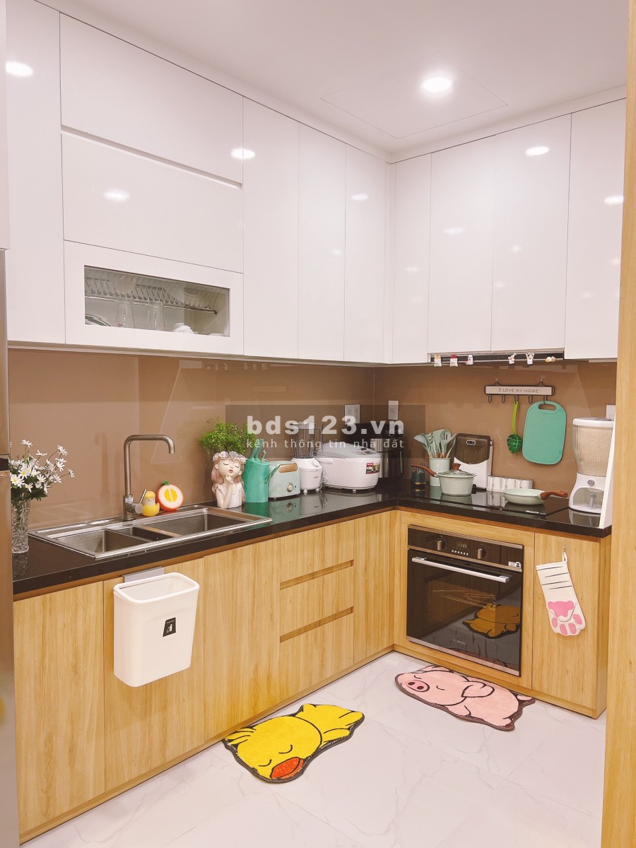 Bán căn hộ Tân Phú 2PN, 2WC Richstar Tân Phú, giá 2 tỷ 850, full NT 65m2