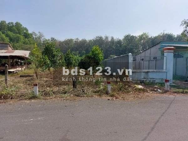 Ông anh thua cá độ bán gấp lô đất đường nhựa ngay VSIP III, giá bán chỉ 2,1 tỷ