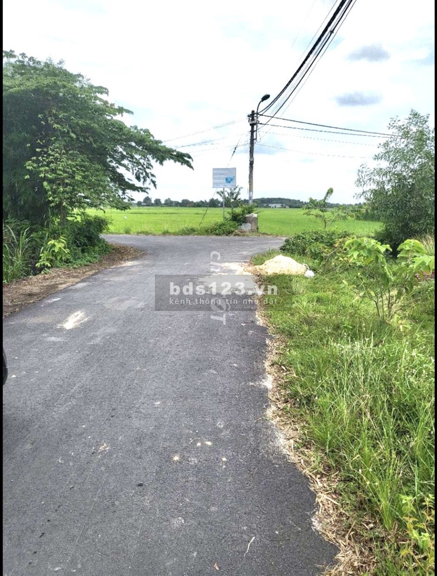 Bán đất mặt tiền Nguyễn Thị Ngoạn Trung Lập Thượng Củ Chi liên hệ 0918574488