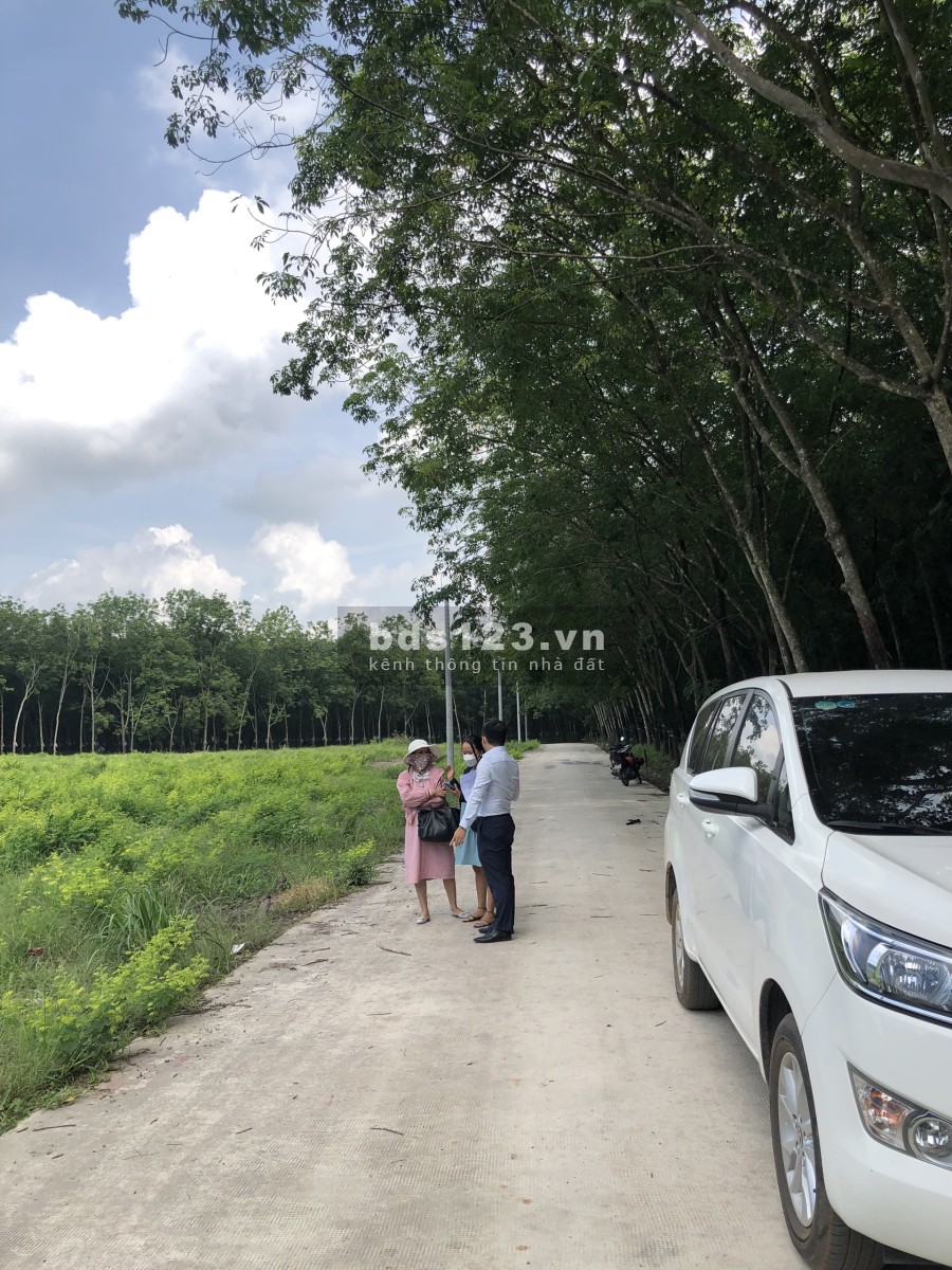 Đất chính chủ, chưa qua đầu tư, sổ hồng riêng hỗ trợ vay 50%