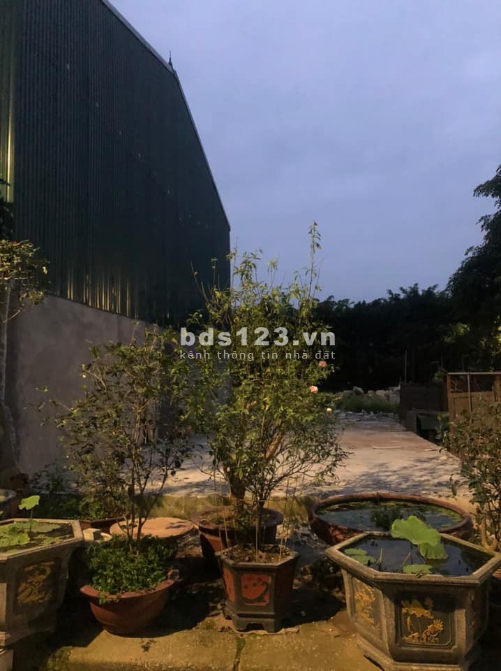 Ông Anh đẹp trai nhờ bán 80m2 TĐC Kiêu Kỵ, Gia Lâm có vỉa hè cách Vinhomes Ocean Park 1.5km.