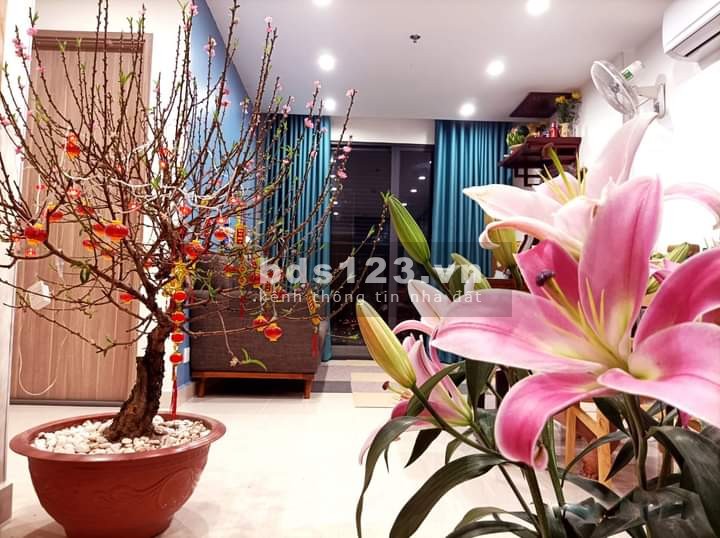 Mua bán căn hộ chung cư Viinhomes Smart City Tây Mỗ, tiện ích đầy đủ, giá tốt đầu tư sinh lời