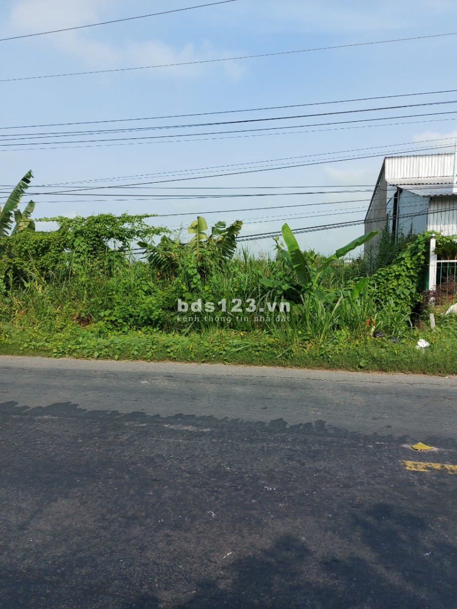 Cần bán nhanh diện tích sử dụng 650m2 ở đường DT843, Xã Tân Phú, Đồng Tháp