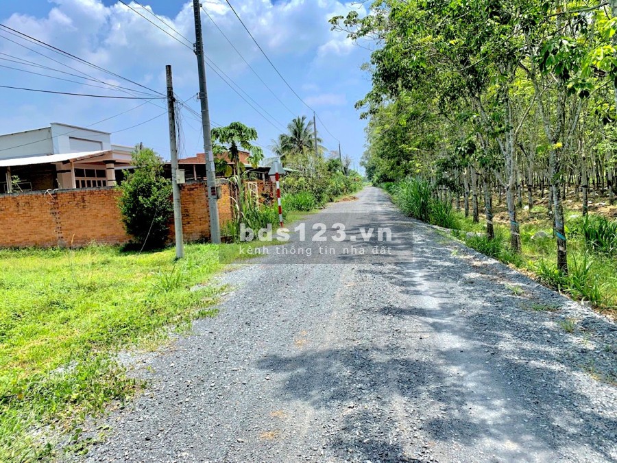 Bán đất Tây Ninh chính chủ full thổ cư cạnh khu công nghiệp Ninh Điển 1500ha