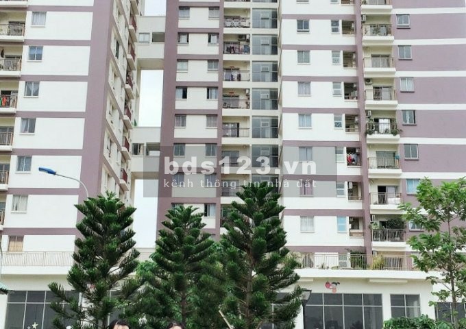 Chính chủ bán gấp giá tốt căn hộ 49m2 chung cư Vision Bình Tân giá bán đầu tư 1.5 tỷ