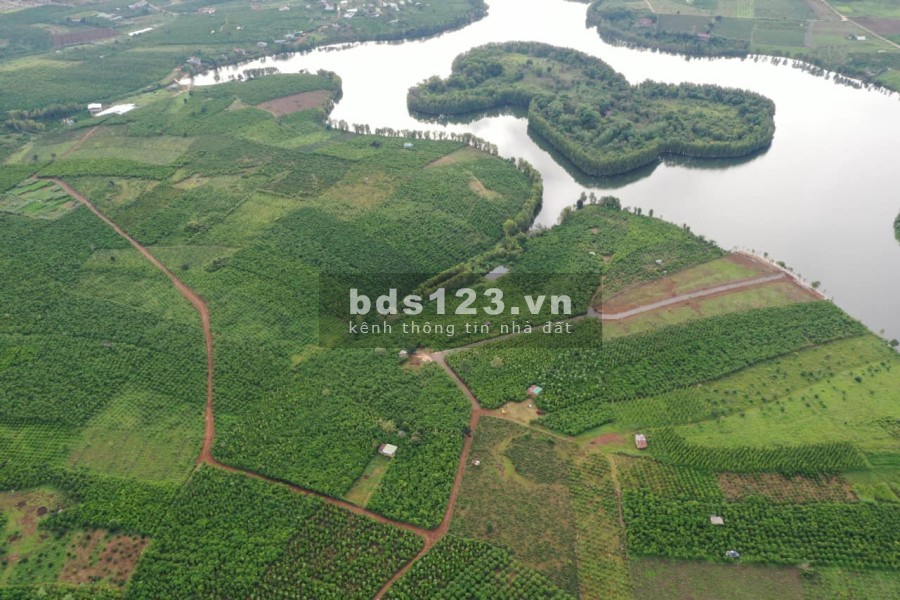 Bán đất View hồ Cánh Bướm Lộc Thắng, sổ hồng riêng, liên hệ 0909370517
