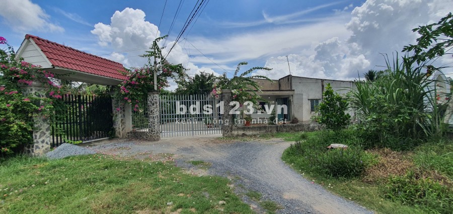Đất ngang lớn phân lô giá bèo Đức Hòa Long An diện tích 5200m2 giá bán 1,5 triệu/m2