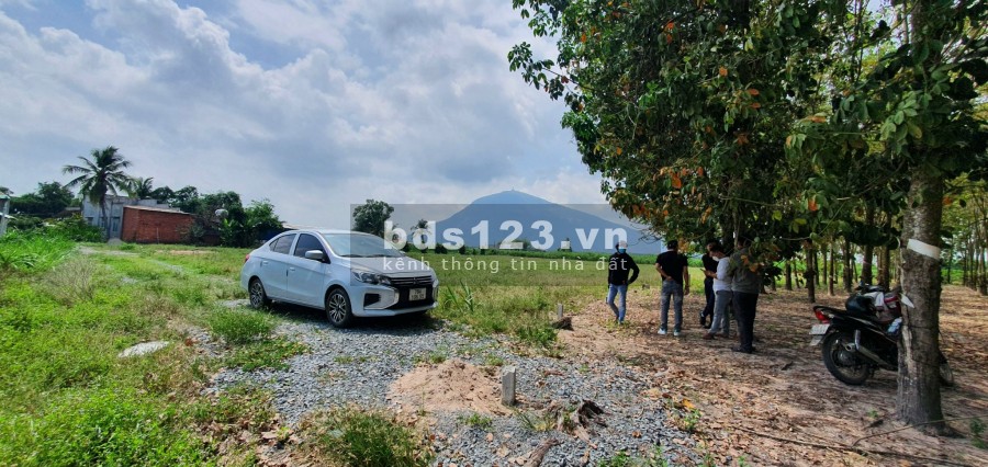 Suối Đá Dương Minh Châu, thổ cư sổ sẵn, khu dân cư đông đúc, giá tốt đầu tư sinh lời